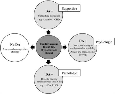 Circulatory Insufficiency and Hypotension Related to the Ductus Arteriosus in Neonates